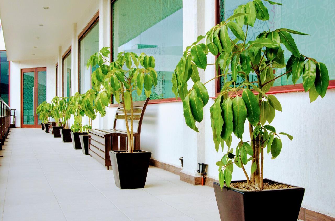 Hotel Boutique Luxury Pachuca Exteriér fotografie